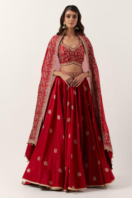 Surkh Laal Banarasi Lehenga Set