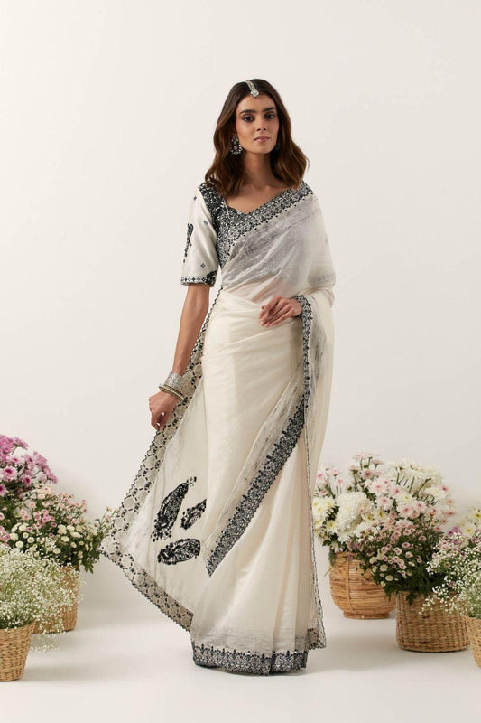 Ivory Printed Resham & Mirror Work Saree Set