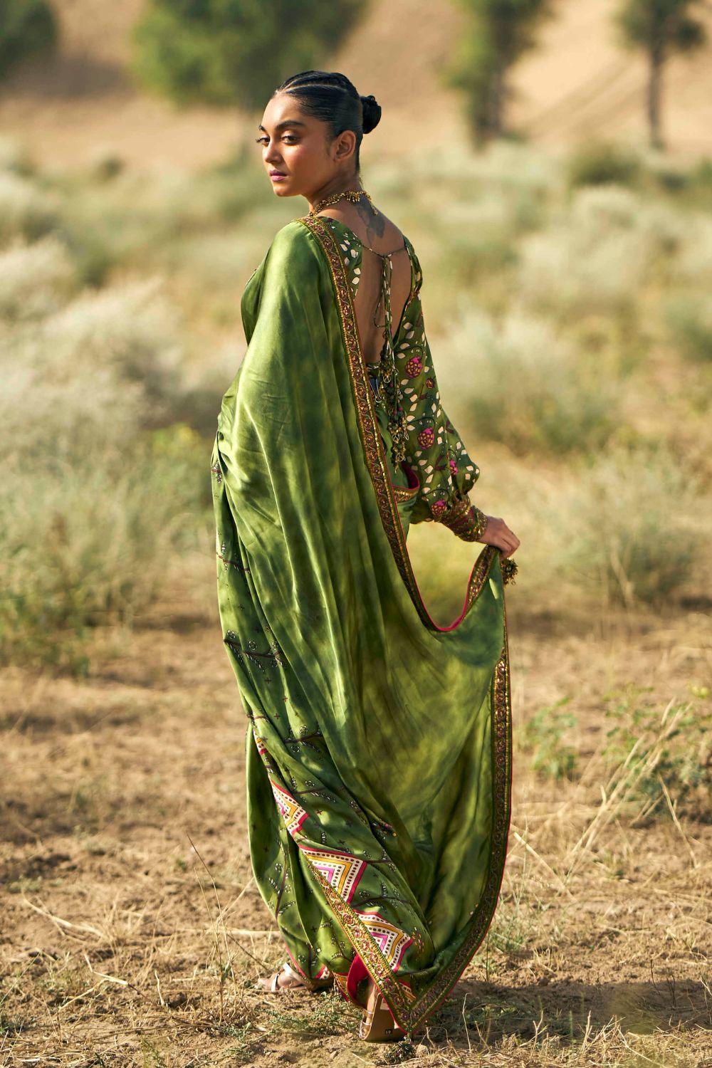 Ranthambore Print Sari