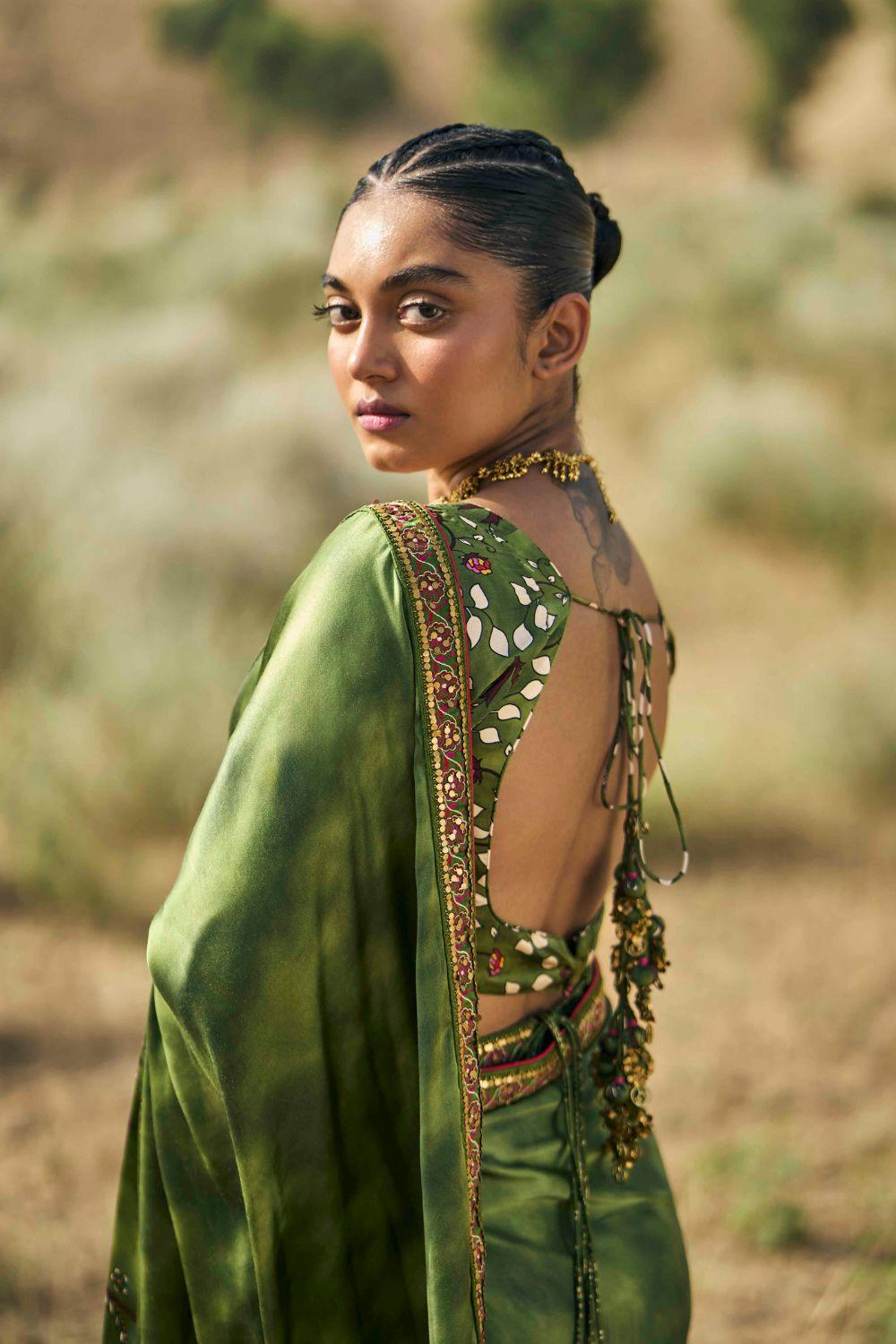 Ranthambore Print Sari