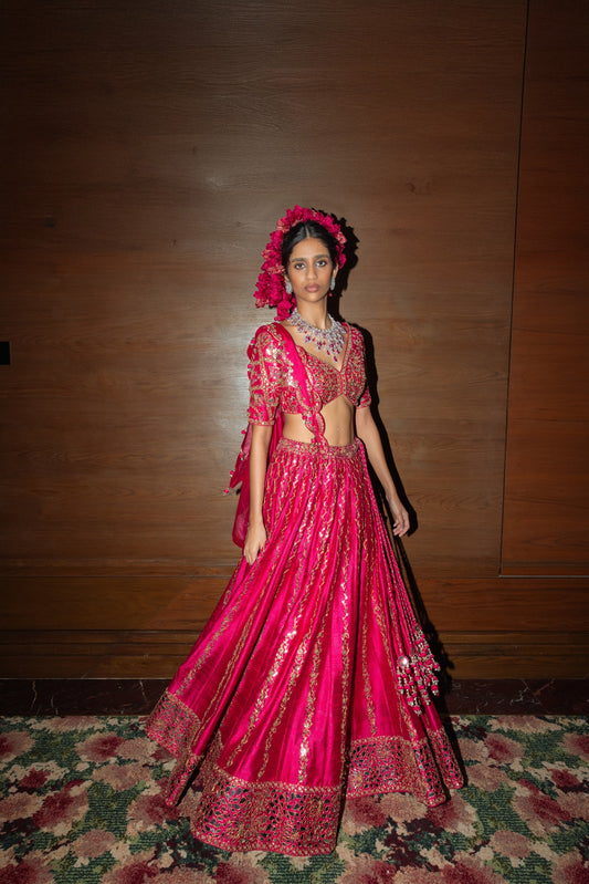 Raspberry  Lehenga set