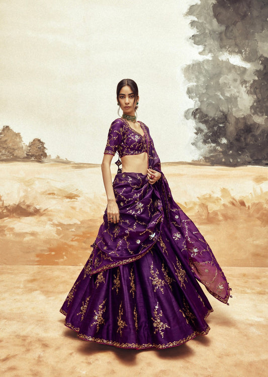 Rani Sa Baingani Lehenga set